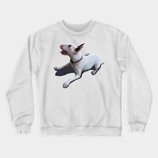 Arnold the Bull Terrier Crewneck Sweatshirt